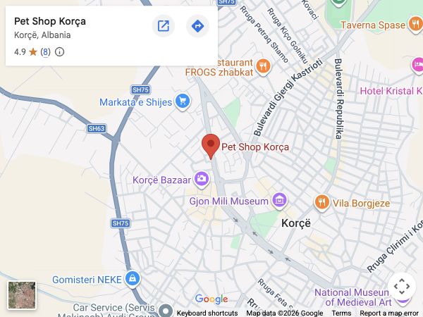 Google Maps showing Pet Shop Korça in Korçë, Albania.